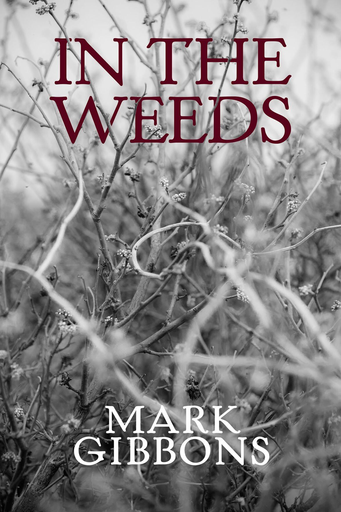 'In the Weeds' by Mark Gibbons